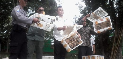 BKSDA Serang Lepas Liarkan 1812 Ekor Burung Hasil Sitaan