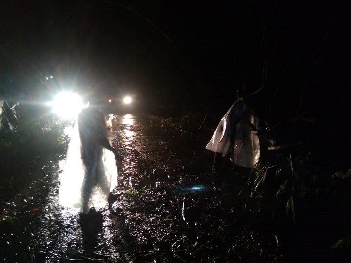 Hujan Angin Wilayah Kibin Akibatkan Pohon Tumbang Timpa Truk