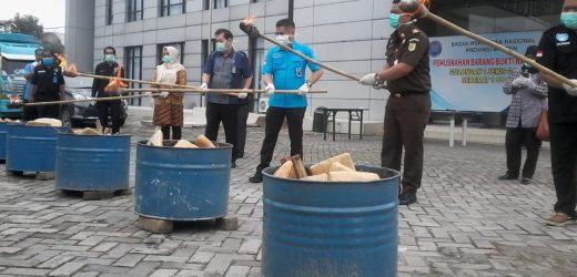 BNNP Banten Musnahkan 50 Paket Narkotika Jenis Ganja