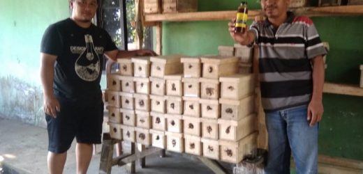 Ditengah Wabah Corona, Pemuda Desa Bojong Pandeglang Giatkan Ternak Lebah Trigona