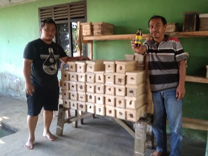 Ditengah Wabah Corona, Pemuda Desa Bojong Pandeglang Giatkan Ternak Lebah Trigona