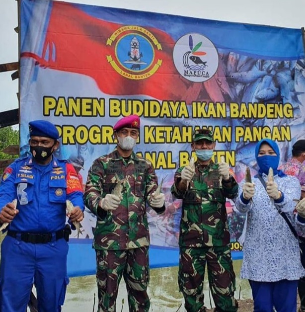Pandemi Covid-19, Desa Binaan Lanal Banten Panen Raya Perdana Ikan Bandeng