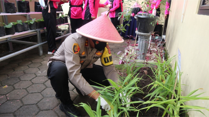 Program Ketahanan Pangan Pandemi Covid-19, Bhayangkari Polres Serang Kembangkan Budidaya Sayuran dan Tanaman Herbal