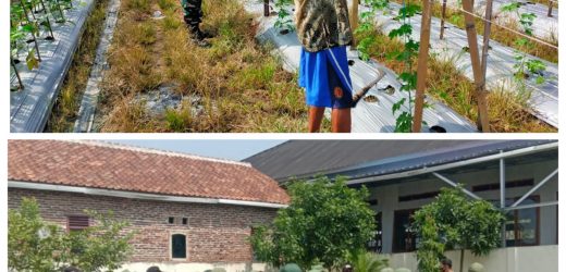 Babinsa Koramil 2303/Pulomerak melakukan Kegitan Ketahanan Pangan dan Pendisplinan  Kepada Satlinmas
