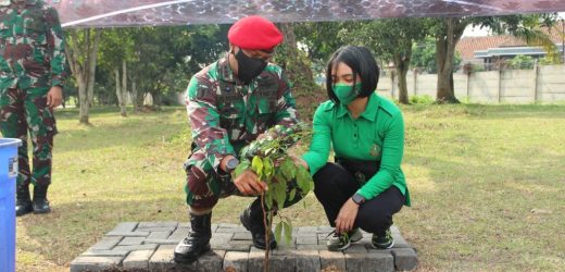 Grup 1 Kopassus Melaksanakan Penghijauan 13.000 Pohon, Menambah Suplai Oksigen di Lingkungan Sekitar