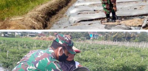 Anggota Babinsa Koramil 2305/Cinangka Melaksanakan Kegiatan BINTAHWIL di Des. Bantar Waru dan Des. Cinangka