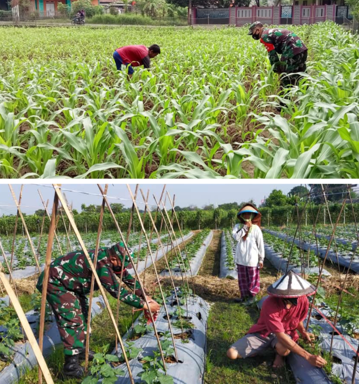 Babinsa Koramil 2303/Pulomerak Melaksanakan BINTAHWIL Di kel. Rawa Arum dan Kel. Pabean Kota Cilegon