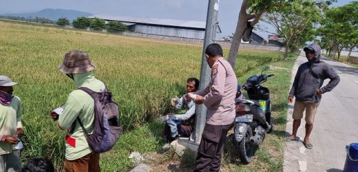 Personil Polsek Kramatwatu Bagikan Masker Kepada Masyarakat Petani