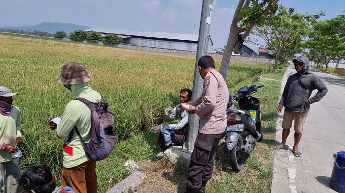 Personil Polsek Kramatwatu Bagikan Masker Kepada Masyarakat Petani