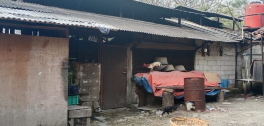 Pabrik Tahu dan Kandang Sapi di Lapak Sukmajaya Diduga Ilegal, Warga: Keluhkam Pencemaran Lingkungan