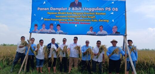 Panen Padi PS 08 di Serang, YBBN Banten Hadirkan Semangat Gotong Royong untuk Indonesia Emas 2045